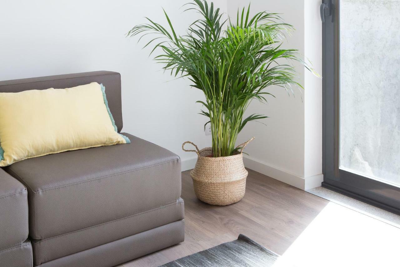 Samasal Trindade Apartments 포르투 외부 사진